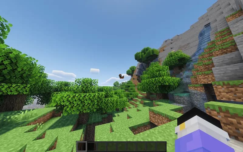 A forest with duck in the middle of the screen