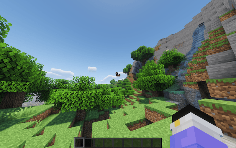 Forest